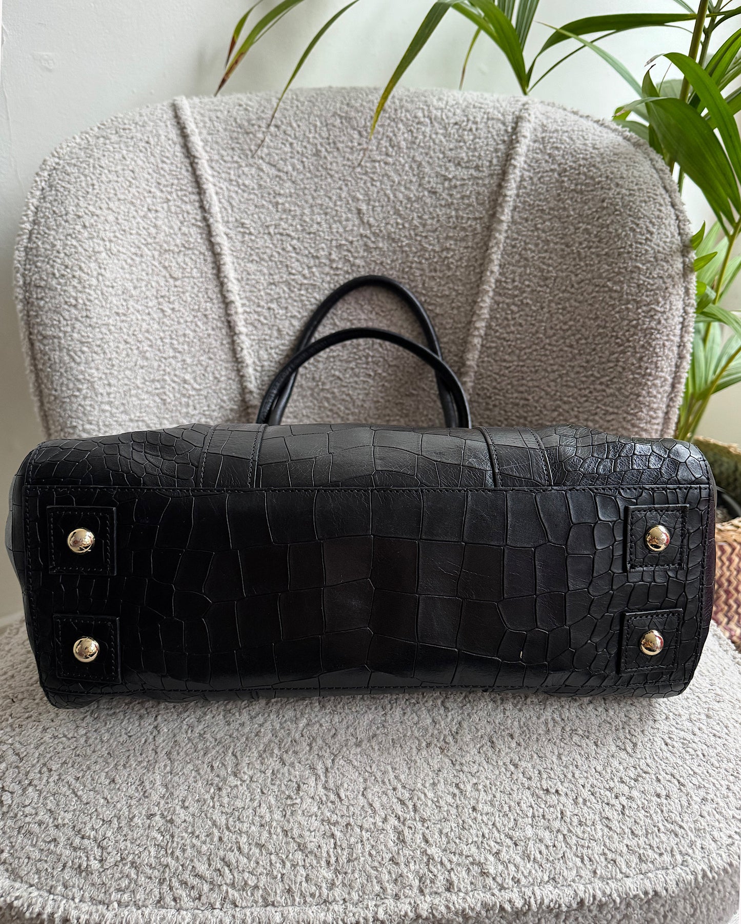 Crocodile Effect Bayswater