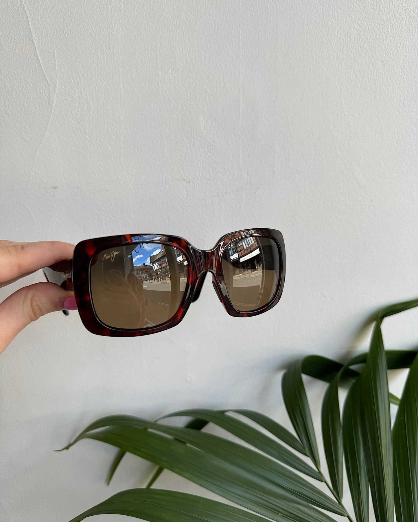 Tortoise Sunglasses