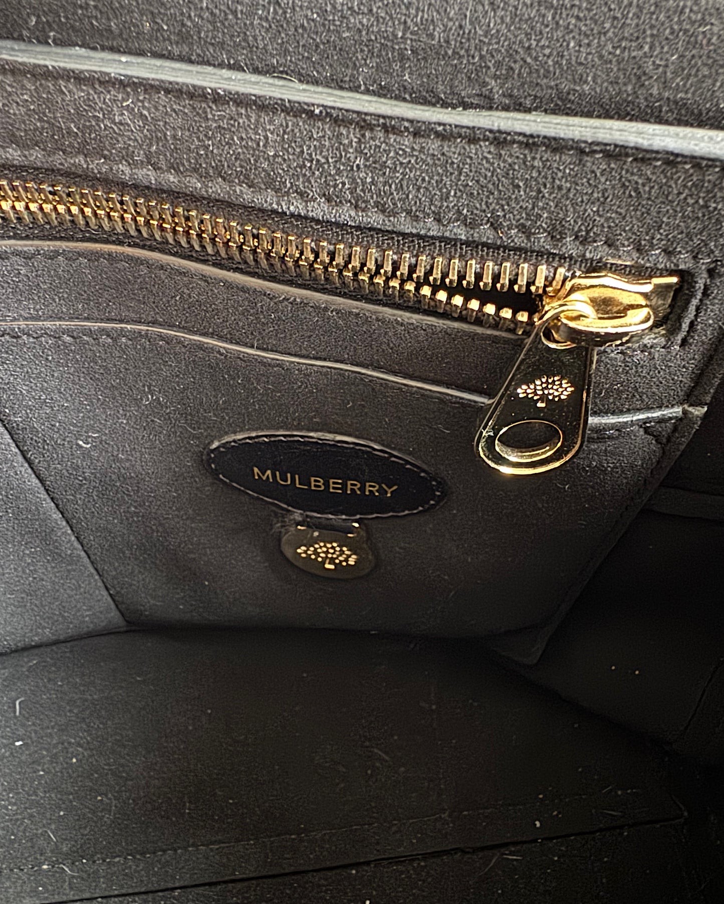 Crocodile Effect Bayswater