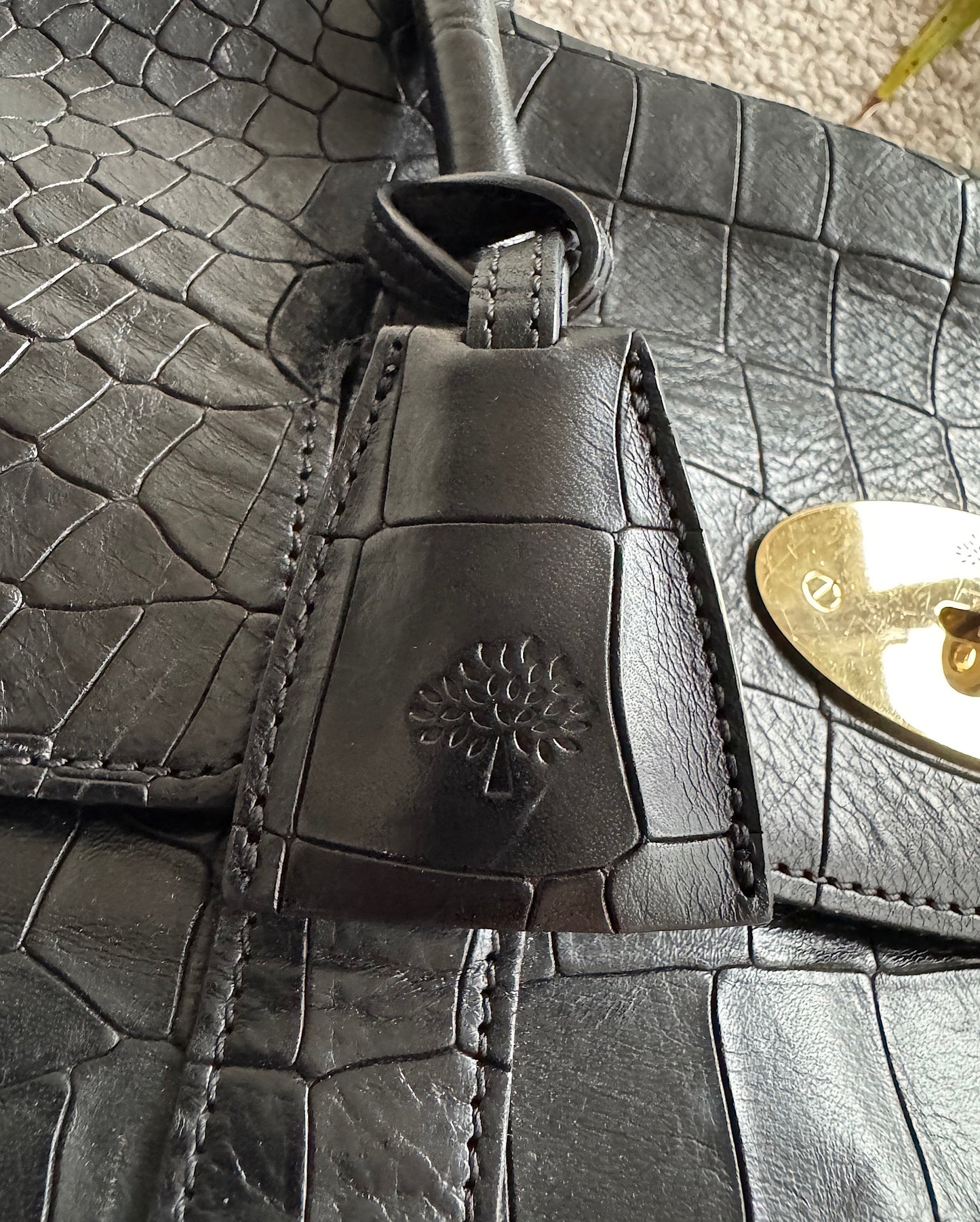 Crocodile Effect Bayswater