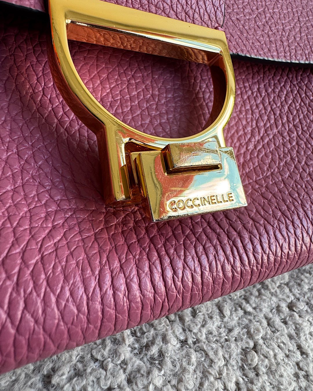 Cochinelle Pink Leather Bag