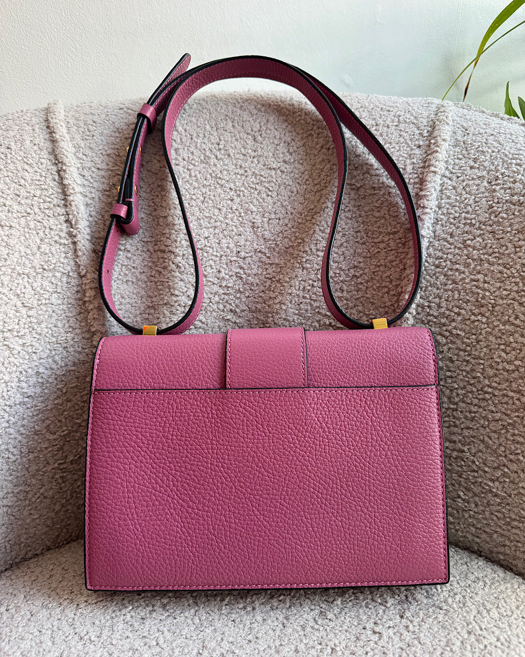 Cochinelle Pink Leather Bag