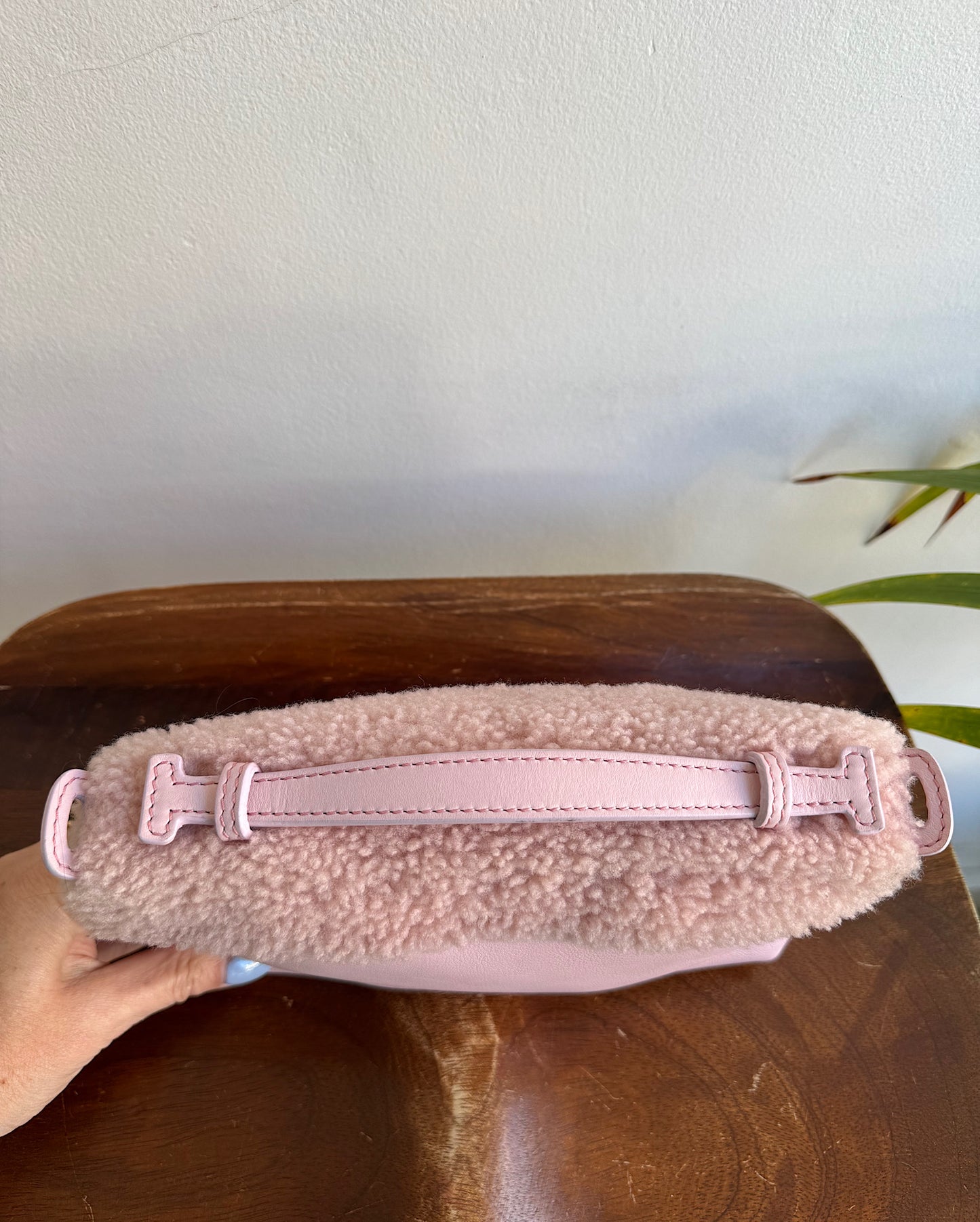 Baby Pink Leather Bag