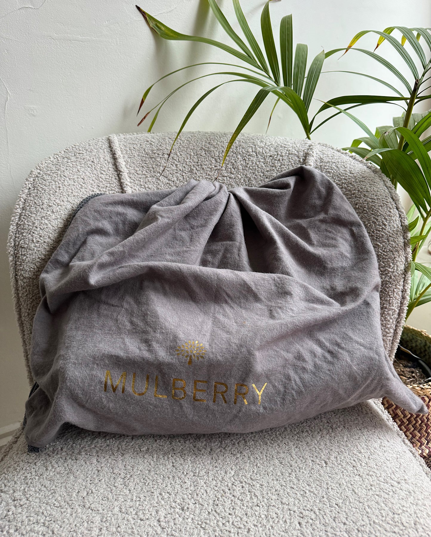 Crocodile Effect Bayswater