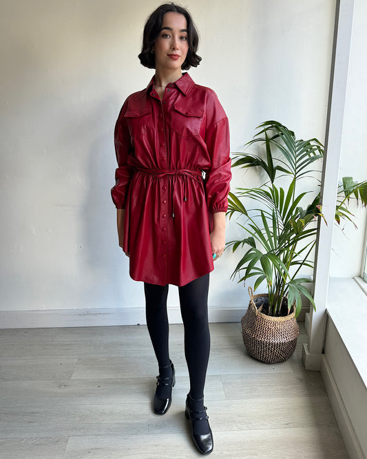 Front view of stunning red mini button-down dress by Retrofete