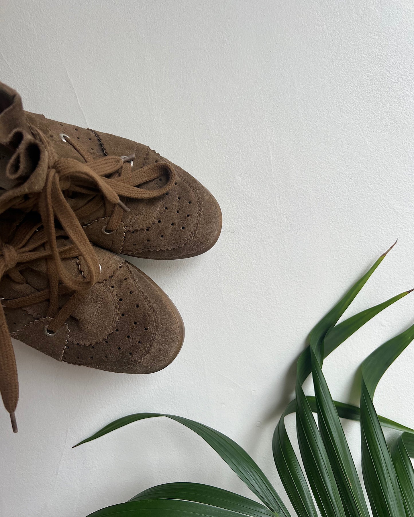 Suede Trainers ~ Size 5